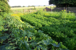 Juli - August 2009a-1 Juli - August 2009a-1